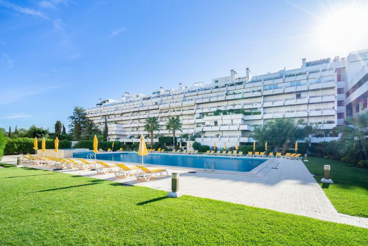 Dentro Da Marina De